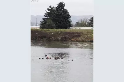 2142 S River Rd, Kelso, WA 98626 - Photo 11