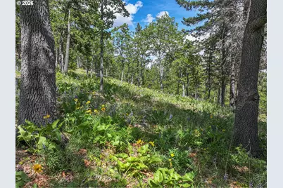 51 Thompson Trl, Goldendale, WA 98620 - Photo 39