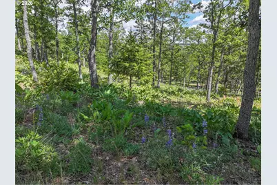 51 Thompson Trl, Goldendale, WA 98620 - Photo 39