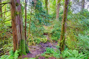1002 NW 189th St, Ridgefield, WA 98642 - Photo 41