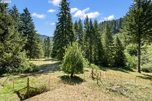 89731 Indian Creek Rd, Swisshome, OR 97480 - Photo 31