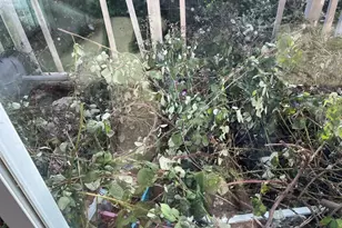 1032 Marina Heights Rd, Brookings, OR 97415 - Photo 43