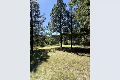 141 Hwy, White Salmon, WA 98672 - Photo 3