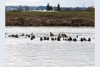 2064 S River Rd, Kelso, WA 98626 - Photo 17