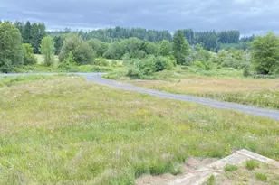 67640 Neverstill Rd, Birkenfeld, OR 97016 - Photo 3