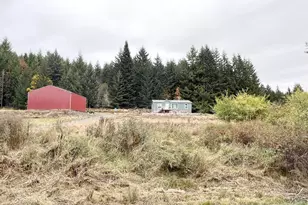 67640 Neverstill Rd, Birkenfeld, OR 97016 - Photo 19