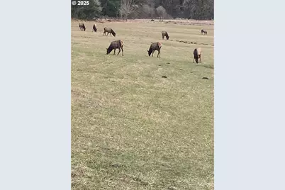 67640 Neverstill Rd, Birkenfeld, OR 97016 - Photo 25