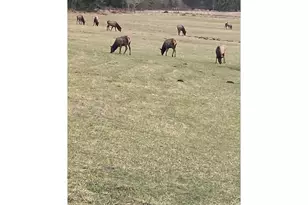 67640 Neverstill Rd, Birkenfeld, OR 97016 - Photo 25