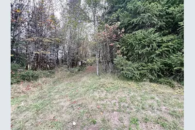 67640 Neverstill Rd, Birkenfeld, OR 97016 - Photo 17