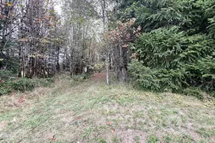 67640 Neverstill Rd, Birkenfeld, OR 97016 - Photo 17