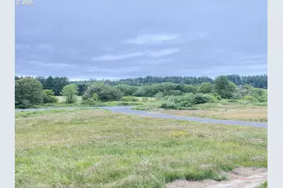 67640 Neverstill Rd, Birkenfeld, OR 97016 - Photo 45