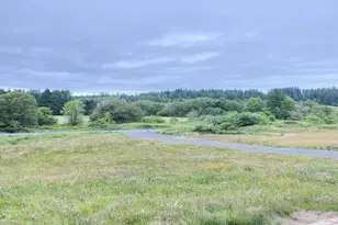 67640 Neverstill Rd, Birkenfeld, OR 97016 - Photo 45