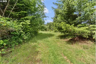 Nw Pumpkin Ridge Rd #400, North Plains, OR 97133 - Photo 5