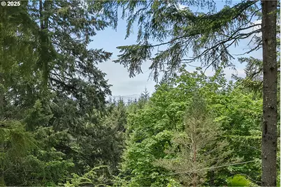 Nw Pumpkin Ridge Rd #400, North Plains, OR 97133 - Photo 13
