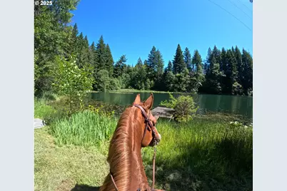 162 Bylin Rd, Stevenson, WA 98648 - Photo 5