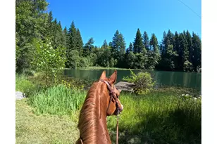 162 Bylin Rd, Stevenson, WA 98648 - Photo 5