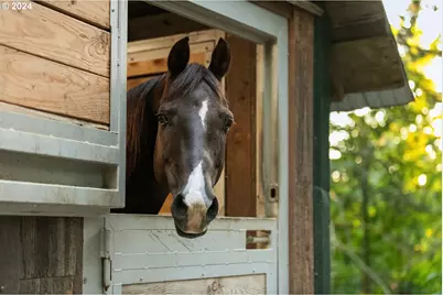 162 Bylin Rd, Stevenson, WA 98648 - Photo 27