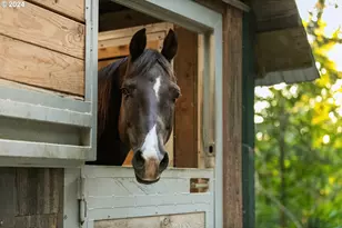 162 Bylin Rd, Stevenson, WA 98648 - Photo 27