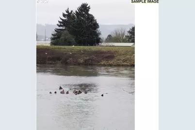 2060 S River Rd, Kelso, WA 98626 - Photo 5