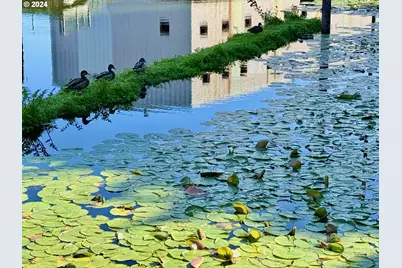 160 Hilltop Dr, Lakeside, OR 97449 - Photo 37