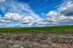 554 W High St, Athena, OR 97813 - Photo 45