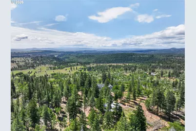 430 Hornet Ln, Goldendale, WA 98620 - Photo 3