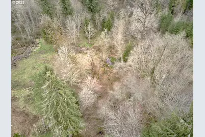 13500 NE 406th St, Amboy, WA 98601 - Photo 9