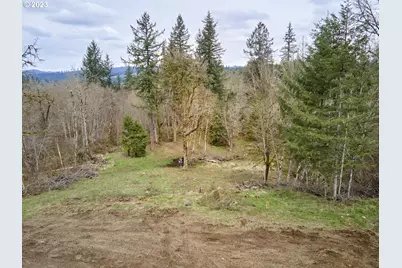 13500 NE 406th St, Amboy, WA 98601 - Photo 5