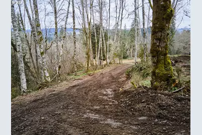 13500 NE 406th St, Amboy, WA 98601 - Photo 25