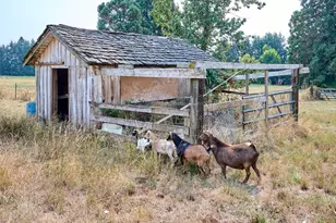 22876 S Hwy 213, Oregon City, OR 97045 - Photo 31