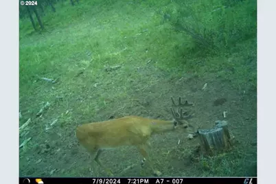 62924 Wolf Creek Ln, North Powder, OR 97867 - Photo 45