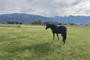 80134 Countryside Rd, Joseph, OR 97846 - Photo 9