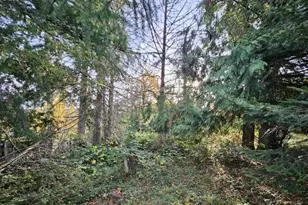 35544 S Aqua Springs Rd, Molalla, OR 97038 - Photo 3