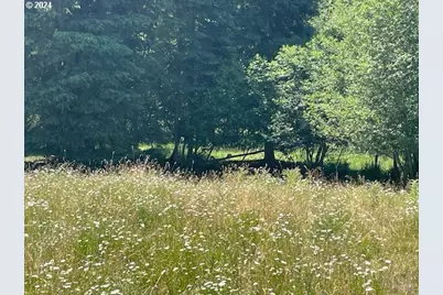 62254 Wallowa Mtn Loop Rd, Joseph, OR 97846 - Photo 17