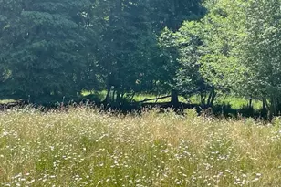 62254 Wallowa Mtn Loop Rd, Joseph, OR 97846 - Photo 17