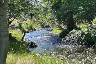 62254 Wallowa Mtn Loop Rd, Joseph, OR 97846 - Photo 19