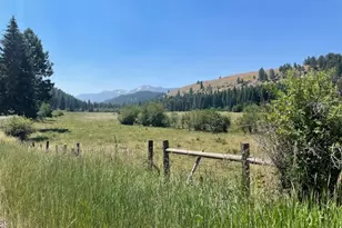 62254 Wallowa Mtn Loop Rd, Joseph, OR 97846 - Photo 11