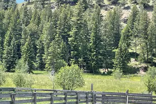 62254 Wallowa Mtn Loop Rd, Joseph, OR 97846 - Photo 3