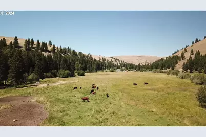 62254 Wallowa Mtn Loop Rd, Joseph, OR 97846 - Photo 7