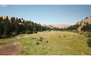 62254 Wallowa Mtn Loop Rd, Joseph, OR 97846 - Photo 7