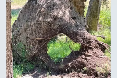 62254 Wallowa Mtn Loop Rd, Joseph, OR 97846 - Photo 21