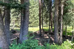 62254 Wallowa Mtn Loop Rd, Joseph, OR 97846 - Photo 27