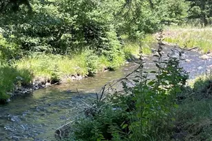 62254 Wallowa Mtn Loop Rd, Joseph, OR 97846 - Photo 23