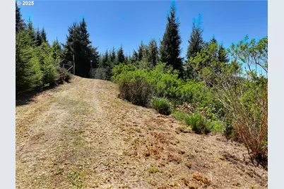00 Cedar Valley Rd #400, Gold Beach, OR 97444 - Photo 47