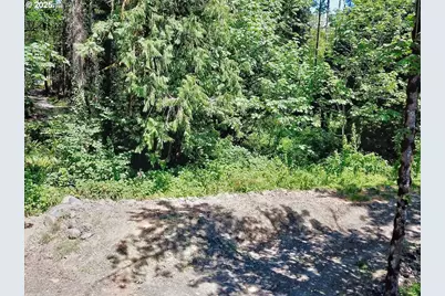 24111 NW Meacham Rd, North Plains, OR 97133 - Photo 13