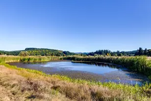 15165 Airport Way, Vernonia, OR 97064 - Photo 3