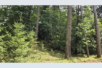 Nw Ranch Dr, Banks, OR 97106 - Photo 11