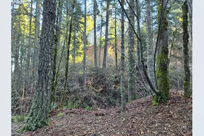 Nw Ranch Dr, Banks, OR 97106 - Photo 21