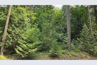 Nw Ranch Dr, Banks, OR 97106 - Photo 13