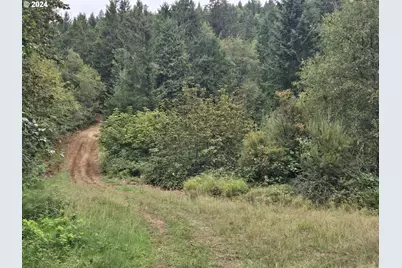 2262 Louis Creek Rd, Myrtle Creek, OR 97457 - Photo 15